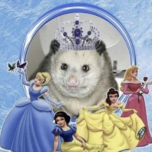 Meet your Posher, Olivia